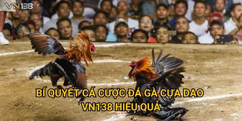 Bí quyết cá cược Đá Gà Cựa Dao Vn138 hiệu quả